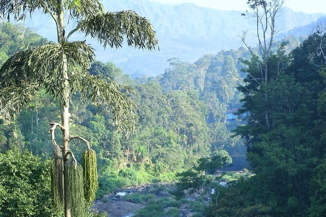 12 Hours Private Munnar Tour from Kochi - Banana-leaf vegetarian lunch and Market time in Munnar