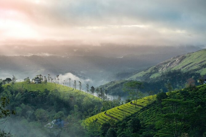 4 Days Private Kerala Tour -Kochi, Munnar, Thekkady with 3<em> Hotel – Key highlights at a glance’ /></p>
<ul>
<li><strong>Private, air-conditioned vehicle</strong> with a driver handling transfers and stops</li>
<li><strong>Munnar tea essentials</strong> including the KDHP Tea Museum and garden time</li>
<li><strong>Multiple waterfall viewpoints</strong> on the way into the hills</li>
<li><strong>Dam-and-lake breaks</strong> like Kundala Lake and Mattupetty Dam for photos and easy pacing</li>
<li><strong>Eravikulam National Park focus</strong> on the Nilgiri Tahr and the Neelakurinji bloom story</li>
<li><strong>Periyar Lake wildlife time</strong> at a major sanctuary with a full stretch on the water</li>
</ul>
<h2 id="a-private-kerala-road-trip-that-keeps-the-pace-human">A private Kerala road trip that keeps the pace human</h2>
<p><img src=