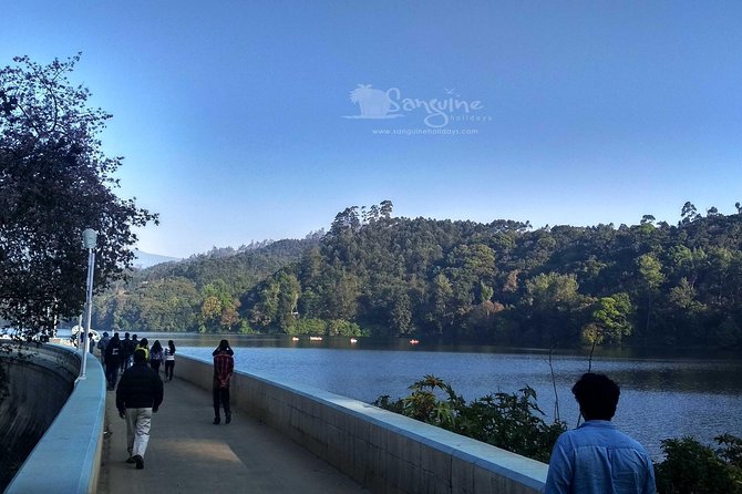 5 Days Budget Kerala Tour Packages by Sanguine Holidays - Day 5: From Alappuzha and Cochin churches to Chinese nets and the Paradesi Synagogue area