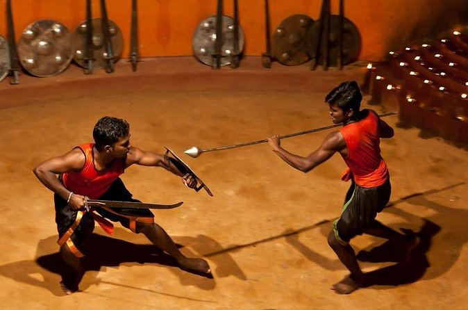 5 Days Kerala Tour Package With 4 Star Stays & Private Houseboat - Day 2: The Best of Munnar Tea Country, Dam Views, and Eravikulam Park