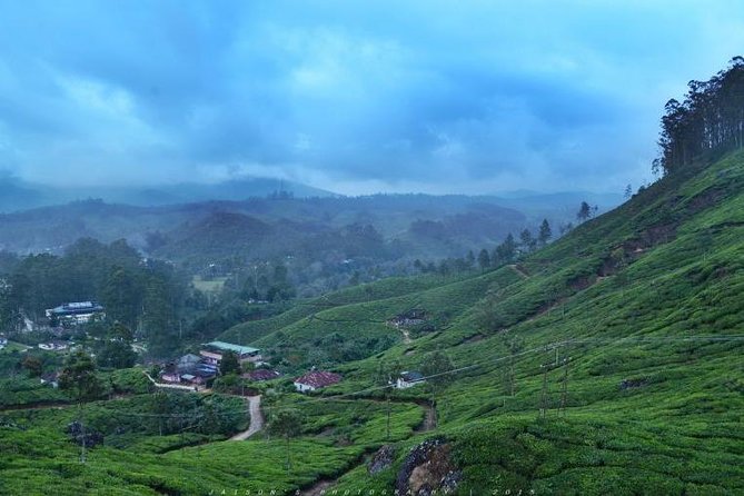 5 Days Kerala Tour Package With 4 Star Stays & Private Houseboat - Day 4: Alleppey Backwaters Overnight Cruise on a Deluxe Houseboat
