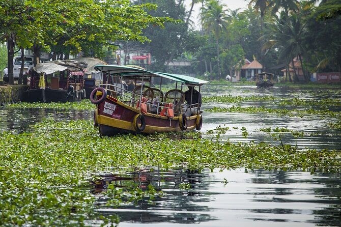 5 Days Kerala Tour with Private Car Houseboat Munnar and Thekkady - Kochi Airport to Munnar in a private car: start without stress