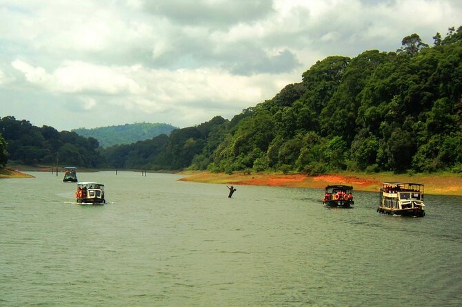 5 Days Kerala Tour with Private Car Houseboat Munnar and Thekkady - Hotels and expectations: premium 3 and 4-star stays, with one caution