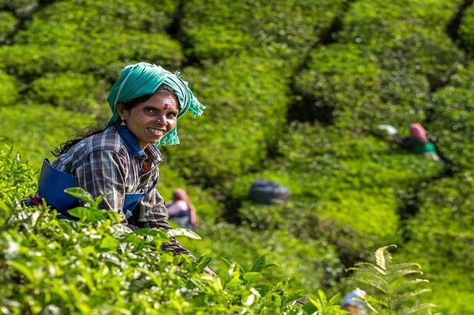 5 Days Kerala Tour with Private Car Houseboat Munnar and Thekkady - Cheeyappara Waterfalls: the quick stop that breaks up the drive