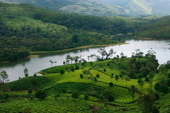 5 Days Luxury Kerala Tour with Houseboat Experience - Thekkady Day 3: Periyar wildlife zone and evening flexibility