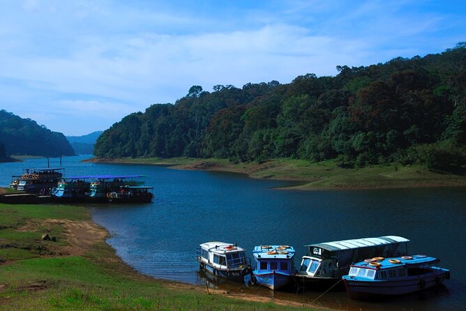 5 Days Luxury Kerala Tour with Houseboat Experience - Munnar Day 2: Eravikulam National Park and tea culture in one sweep