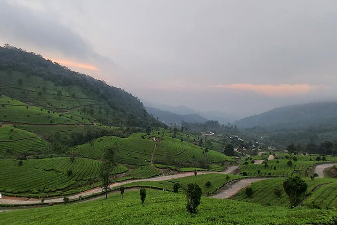 5 Days Private Kerala Tour with Houseboat by Sanguine Holidays - Private Kerala in 5 days: what you’re really signing up for