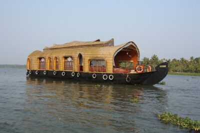 5 Days Private Kerala Tour with Houseboat by Sanguine Holidays - Day 2: Munnar tea country, dams, and Eravikulam’s Nilgiri Tahr window