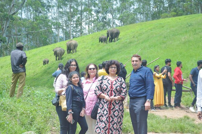 5-Days Private Kerala Tour with Sightseeing Tickets - Munnar Full-Day Sightseeing: Nilgiri Tahr, Tea Views, and Dam Reflections