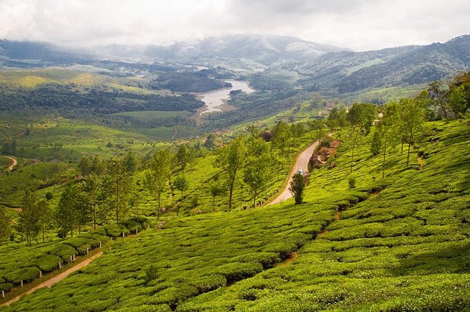 9 Days Private Exotic Kerala Tour - Day 1 in Kochi airport to Jew Town and Dutch Palace area