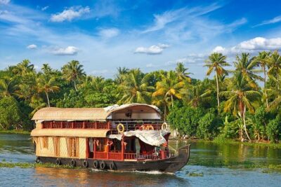 9 Days Private Exotic Kerala Tour - Day 2: Kochi to Munnar, plus the best kind of road trip