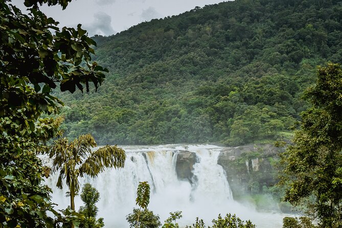 Athirapally Waterfalls from Cochin - Key Highlights You’ll Notice Right Away