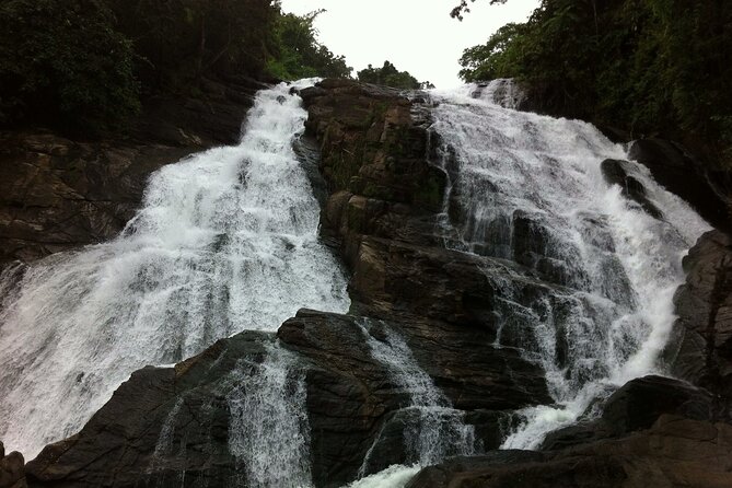 Athirapally Waterfalls from Cochin - Athirapally Waterfalls: Top and Bottom Views (And Why That Matters)