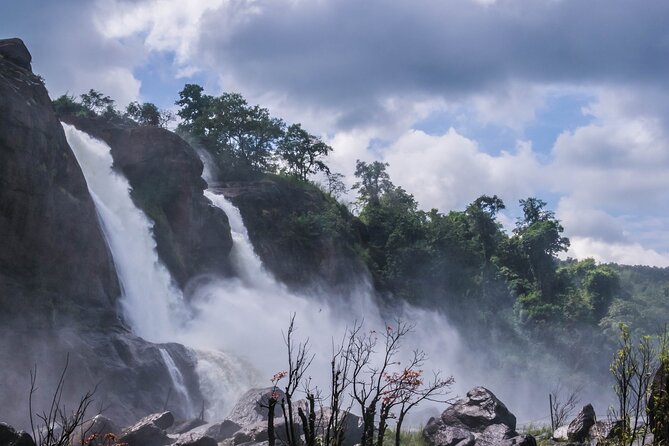 Athirapally Waterfalls from Cochin - Price and Value: Is $99 Worth It for Athirapally?