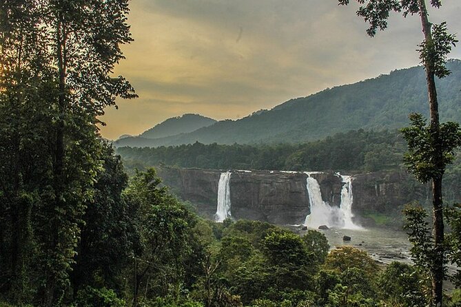 Athirappilly & Vazhachal Waterfalls Private Day Tour from Kochi - Comfort, Crowds, and the Small Rules That Affect Your Day