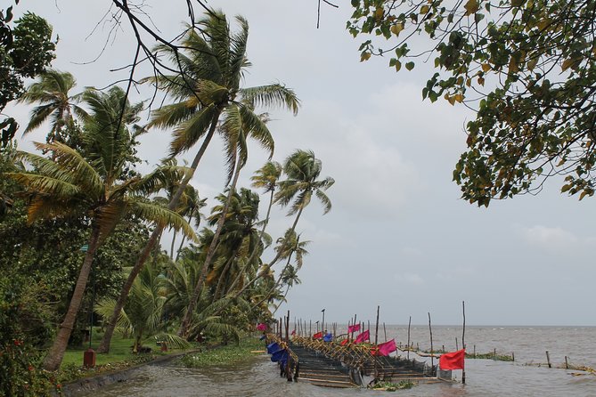 Best of Kerala - The Alleppey backwaters overnight: sunset, fishing, and a chef