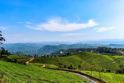 Best of Kerala Tour (Exclusive Private tour) - Day 1 in Kochi: airport pickup plus an easy spice-market start