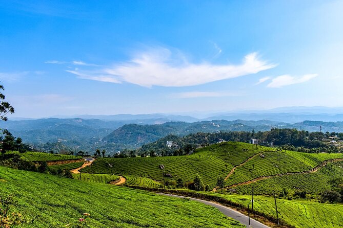 Best of Kerala Tour (Exclusive Private tour) - Day 1 in Kochi: airport pickup plus an easy spice-market start