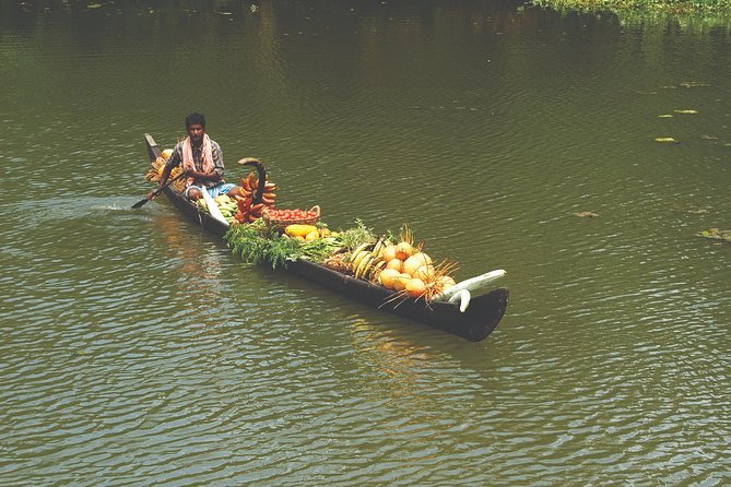 Best of Kerala Tour Package 7 nights / 8 days by Sanguine Holidays - Price and logistics: what $560.66 really buys you