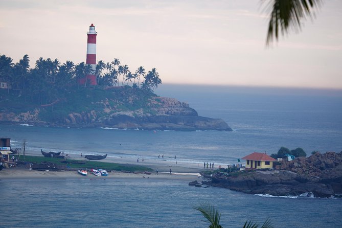Best of Kerala Tour Package 7 nights / 8 days by Sanguine Holidays - Day 3 in Munnar: Eravikulam National Park, dams, Echo Point, and roses