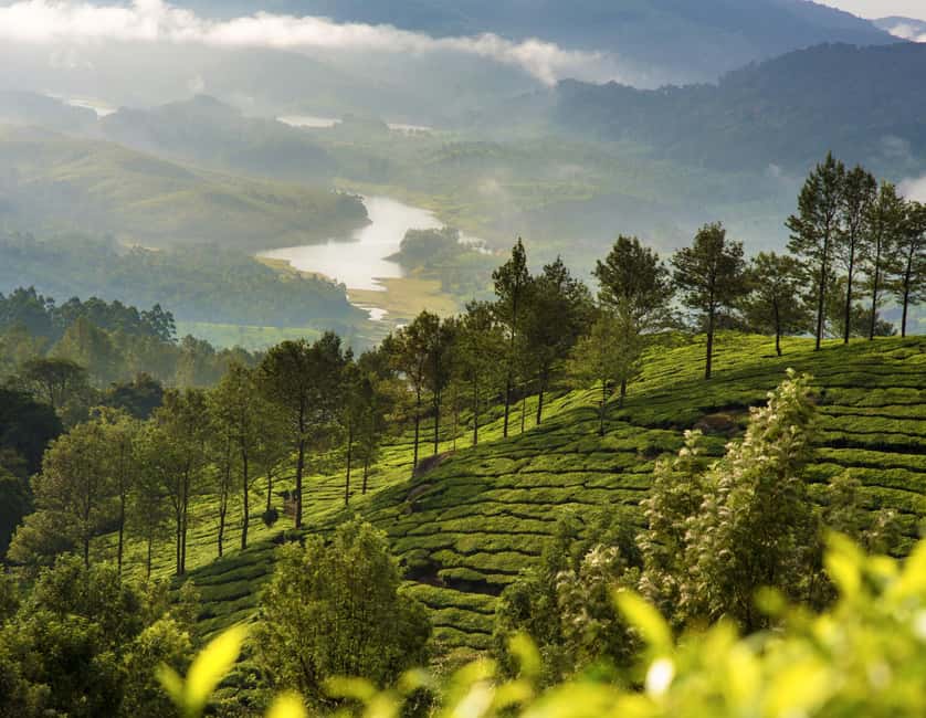 Cochin: 5-Day Kerala Tour with Munnar, Thekkady and Alleppey - Thekkady drive and Periyar Lake wildlife: where your tickets matter most