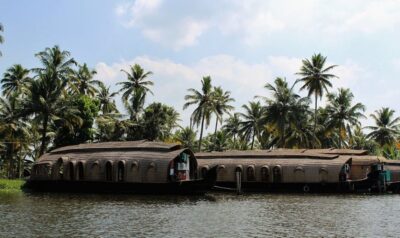 Cochin: Alleppey Backwater Private Day Cruise by Houseboat - The 2.5-hour cruise: What you’ll see on the water