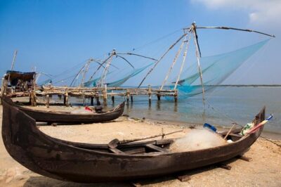 Cochin Shore Excursions from Cruise Terminal - Lunch onboard vs tea and snacks: how food works during the cruise