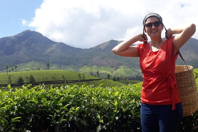 Cochin to Munnar Day trip - Pickup and ride comfort: why the 4–5 hour timeline feels efficient