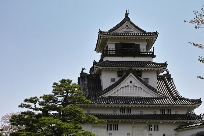 Experience the energy of Kochi: Sunday Market Tour includes Kochi Castle - Key highlights you’ll feel immediately