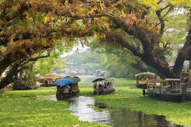 Fort Kochi Tour by Tuk Tuk for Cruise Passengers - Portuguese, Dutch, and Jewish threads you can actually see