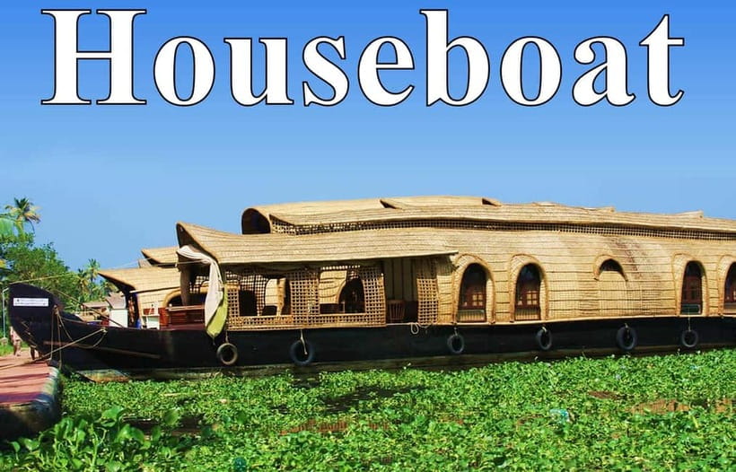 From Cochin Port: Backwater Cruise and Chinese Nets - The Backwaters of Kerala: Paddy Fields, Coconut Palms, and Real Quiet