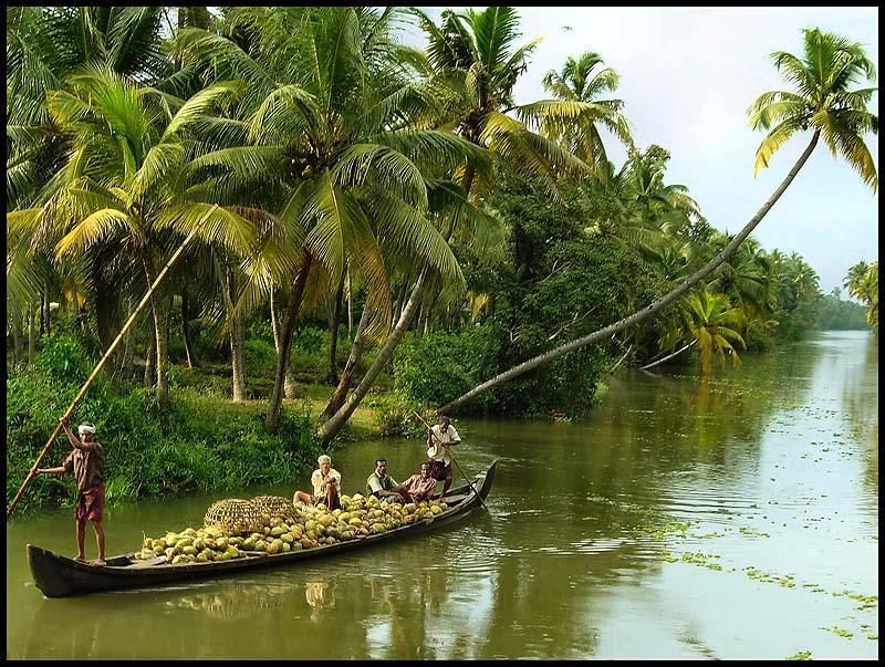 From Kochi: 2-Day 1-Night Alappuzha Private Houseboat Cruise - From Kochi to the Boat: Pickup at 10:15 and Boarding Around Noon