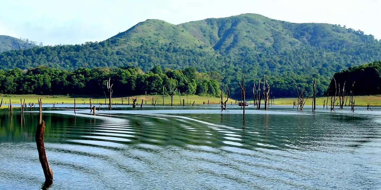 From Kochi: 3-Day Periyar Wildlife Sanctuary Tour - Day 1 in Thekkady: check-in, then choose your culture vibe