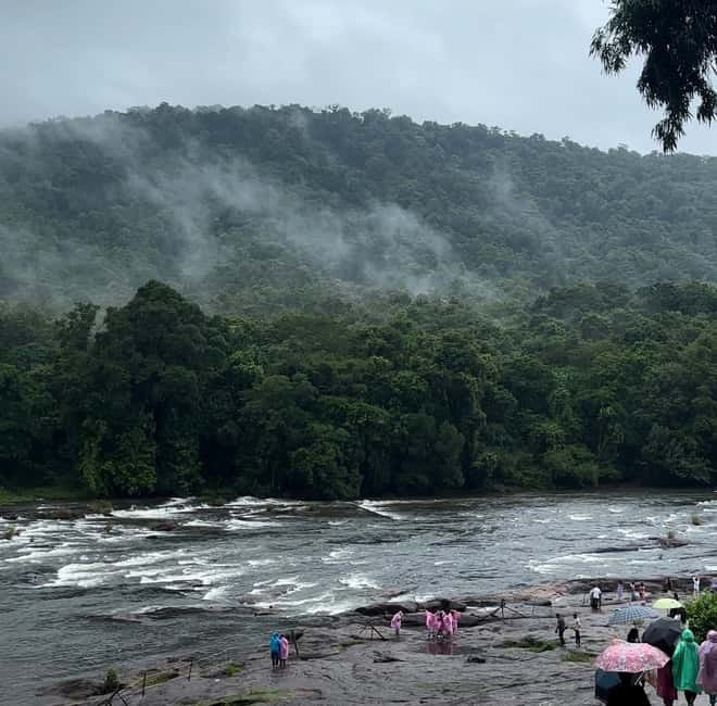 From Kochi: Athirappilly Waterfalls Day Trip with Transfers - Price and value: is $99 per group up to 2 a good deal?