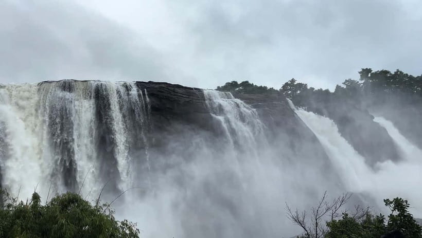 From Kochi: Athirappilly Waterfalls Day Trip with Transfers - Who should book this Athirappilly day trip