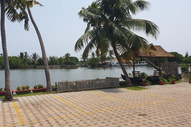 Full Day Kumbalangi Village Tour - The day’s flow: Kochi pickup, island arrival, and a full 8 hours