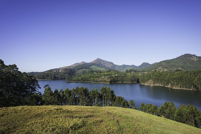 God's Own Country - KERALA (8 Days private trip) - Munnar tea hills: viewpoints, museum time, and a private-ride day