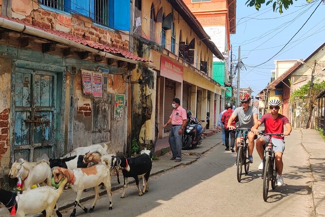 Good Morning Kochi Bicycle Tour - Spice warehouses, Palace Road, and Bazaar Road: history you can point at