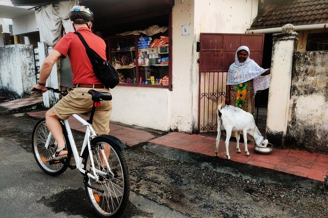 Good Morning Kochi Bicycle Tour - Vegetarian streets and the Hindu temple exterior: what you’ll see (and what you won’t)