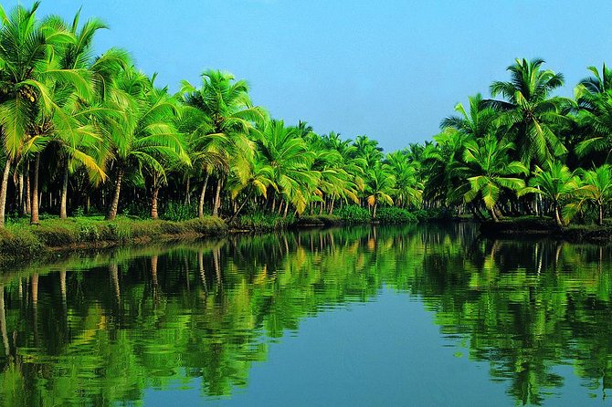 Group Shore Excursion from Cochin Port - A short day that mixes backwaters and Fort Kochi