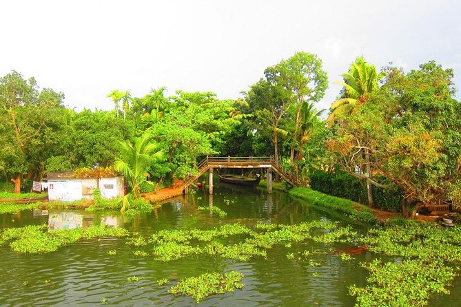 Group Shore Excursion from Cochin Port - Your guide and driver: where this trip wins