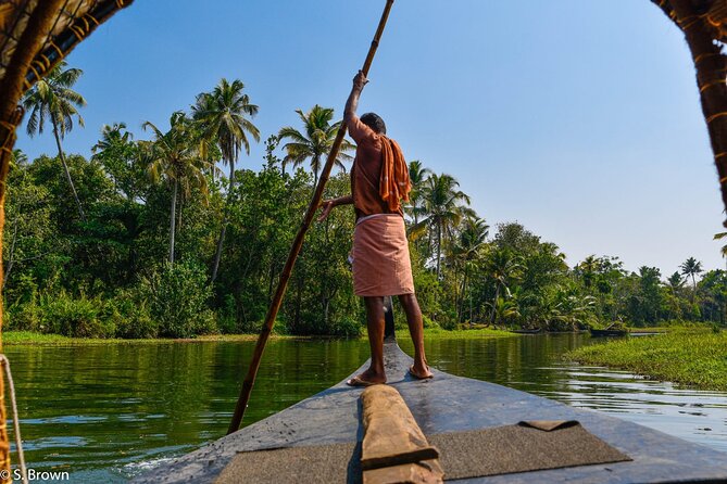 Half-Day Eco Punting and Village Backwater Cruise from Cochin - The canoe ride and tea session: a calmer, closer perspective