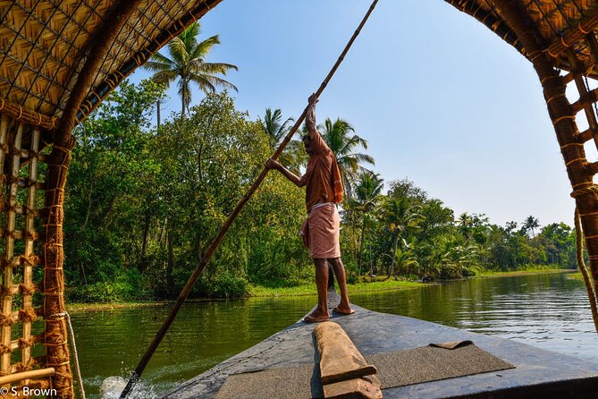 Half-Day Eco Punting and Village Backwater Cruise from Cochin - Timing matters: morning vs evening departures