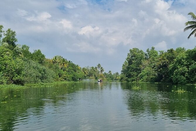 Half Day Village Backwater Eco Country Boat Cruise :Group Tour from Fort Cochin - Price and Value: Is $33 a Good Deal for What’s Included?