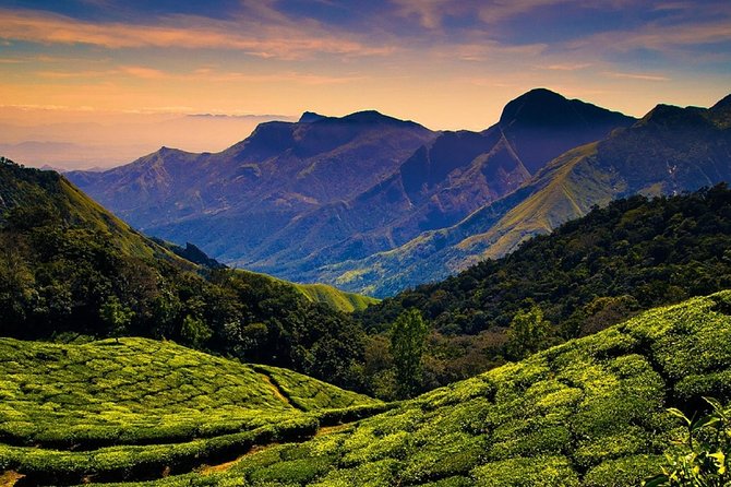 Hill station farm house stay - Day 2 starts at Periyar Tiger Reserve: reserve time, not overload