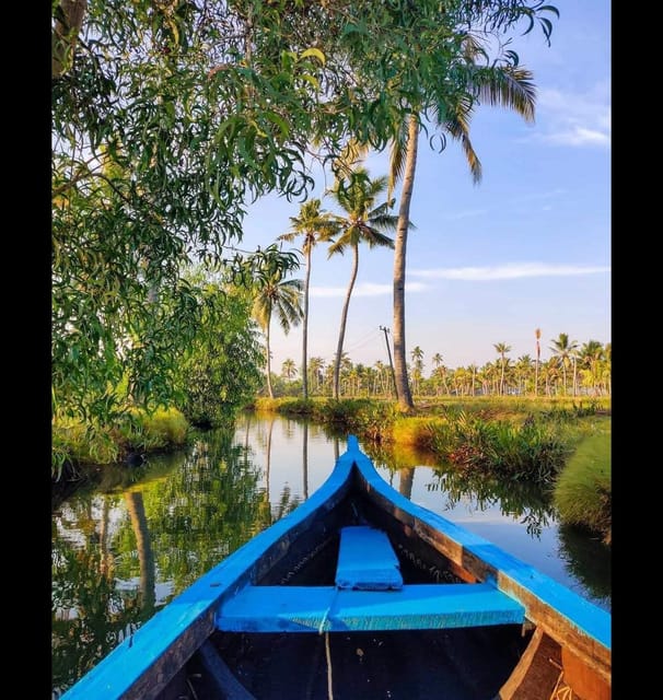 Kochi: Backwater Exploration in Village: Free Pickup & Drop - Pickup, Timing, and How to Plan Your Day in Kochi
