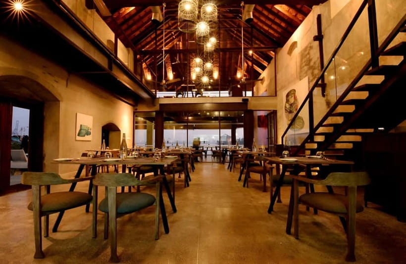 Kochi: Cruise on the Spice and Silk Routes - Dolphin spotting in the Arabian Sea: the fun bonus
