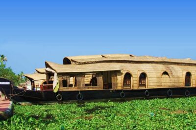 Kochi Private Day Tour -Heritage and Backwaters on Houseboat - Getting picked up in Kochi (and getting your bearings fast)