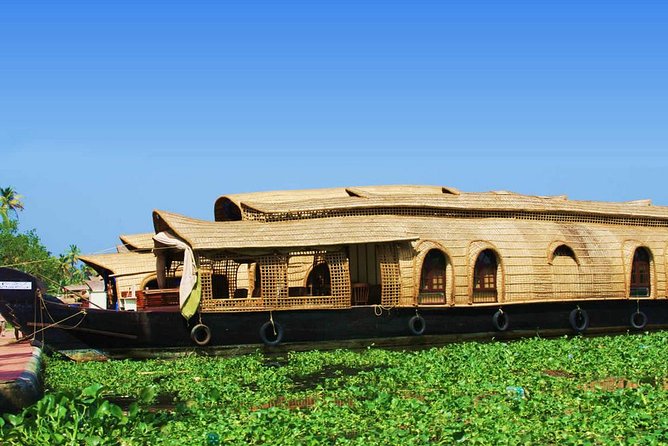 Kochi Private Tour : Backwater Cruise in Aleppey - Price and Value: Is $65 Worth It?