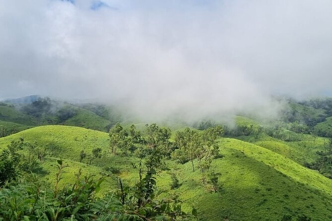 Kochi to Munnar Private Full Day Guided Tour With Hotel Pickup - Key highlights you’ll actually care about